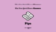 Screenshot of Pips NYT available on Infinite Chef Online